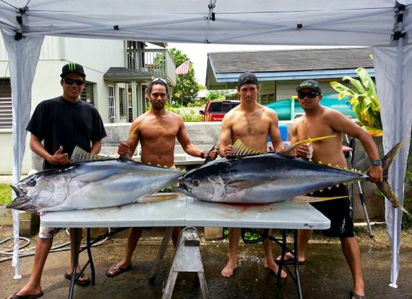 6-23-2013
Capt Kyle's Ahi
Keywords: ahi,tuna,yellowfin,mahi mahi,dolphin,fish,charter,fishing,oahu,north shore,hawaii,sportfishing