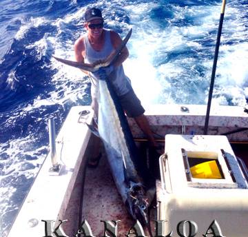 7-1-2013
Keywords: marlin,mahi mahi,dorado,dolfin,hawaii,north shore,charter,boat,fishing,trip,fish,oahu,sportfishing,deep sea,trolling