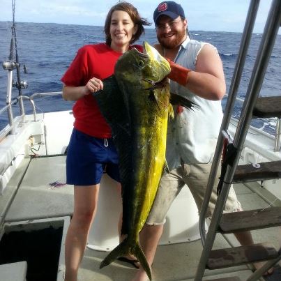 2-11-2013
Keywords: mahi mahi,hawaii,north shore,charter,boat,fishing,trip,fish,oahu,sportfishing,dorado,dolfin,trolling