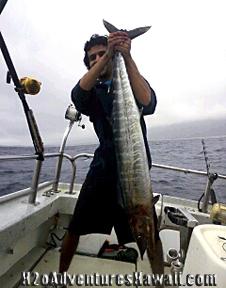 3-24-2013
Keywords: ono,wahoo,hawaii,north shore,charter,boat,fishing,trip,fish,oahu,sportfishing