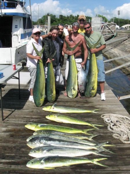 4-14-2012a
The Mahi Mahi are getting bigger!! Summer is almost here!
