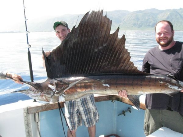 4-17-2011
Sailfish!! Haven't seen one of these on years. Congradulations to Jerome and John.
