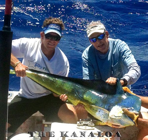5-2-2013
Mahi Mahi the Kanaloa
Keywords: mahi mahi,hawaii,north shore,charter,boat,fishing,trip,fish,oahu,sportfishing