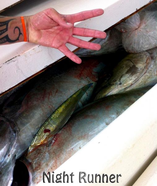 5-23-2013
Keywords: ahi,tuna,yellowfin,mahi mahi,dolphin,fish,charter,fishing,oahu,north shore,hawaii,sportfishing,blue,marlin