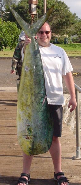 Our second biggest Mahi of '04 55 pounds! Dang.
