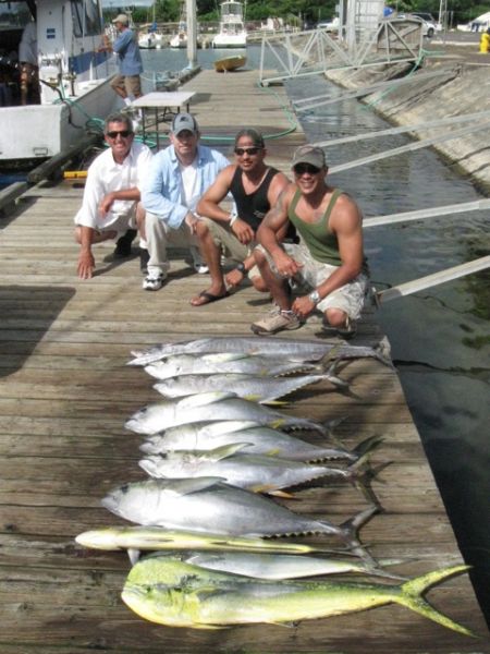 6-21-2011
The Yellowfin are getting bigger!
