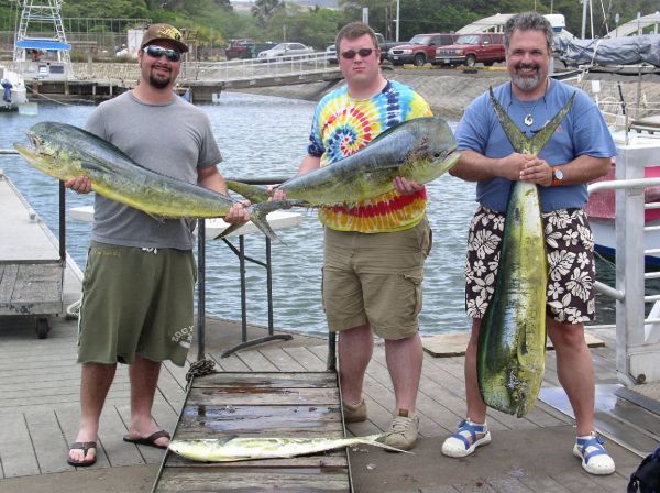 6-25-08
4 nice Mahi Mahi and home by lunch. Now that's a great 1/2 day charter!

