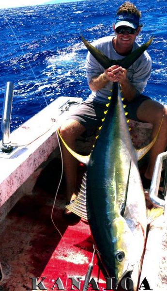 6-29-2013
Nice Ahi on The Kanaloa
Keywords: ahi,tuna,yellowfin,mahi mahi,dolphin,fish,charter,fishing,oahu,north shore,hawaii,sportfishing,blue,marlin