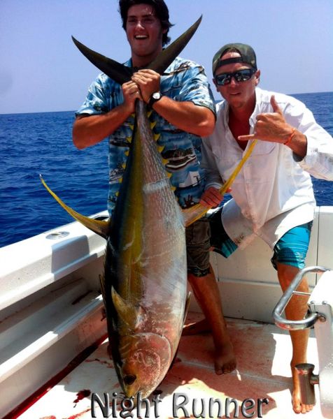 7-11-2013
Ahi on eh Night Runner
Keywords: ahi,tuna,yellowfin,mahi mahi,dolphin,fish,charter,fishing,oahu,north shore,hawaii,sportfishing,blue,marlin