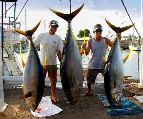7-2-2013
Great catch for Capt Chris & Kevin on the Seeker! This pic made the cover of Pelagic's Watermen's Journal for August.
Keywords: ahi,tuna,yellowfin,mahi mahi,dolphin,fish,charter,fishing,oahu,north shore,hawaii,sportfishing,blue,marlin
