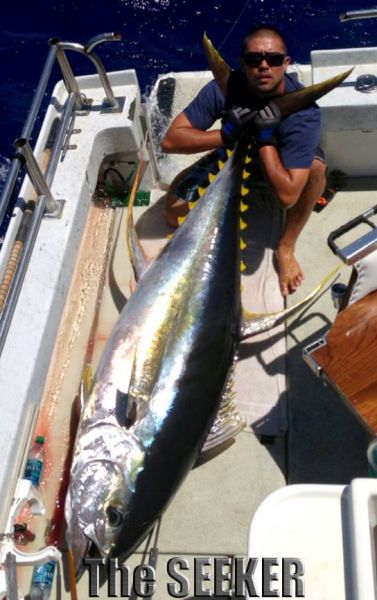 7-3-2013
Huge Ahi, Yellow Fin Tuna, on The Seeker
Keywords: ahi,tuna,yellowfin,mahi mahi,dolphin,fish,charter,fishing,oahu,north shore,hawaii,sportfishing,blue,marlin
