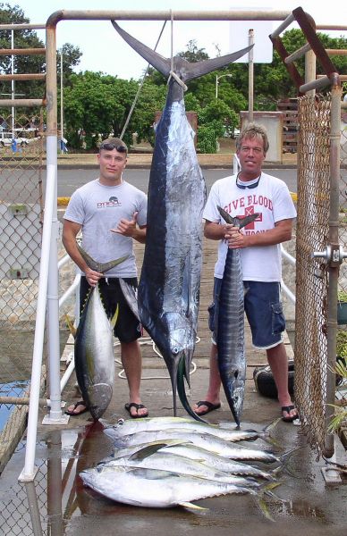 Foxy Lady 8-14-06
The Taylor boys and their "Clean Sweep". See the little Mahi Mahi in the mouth of the Marlin...he's small but in a sweep, he counts! Very nice work guys.
