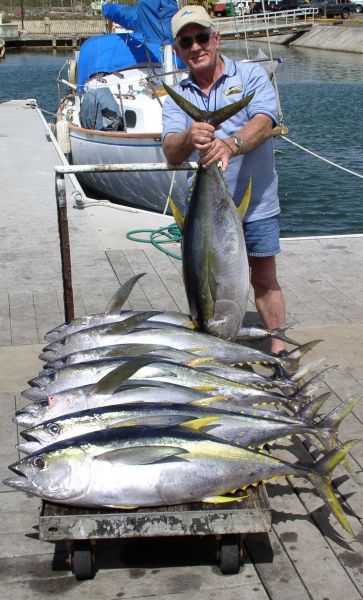 Foxy Lady 8-3-07
Here's Bill another great Australian angler with another nice batch of Yellowfin Tuna. How come there are so many Aussies around? Did someone forget to close the gate?
