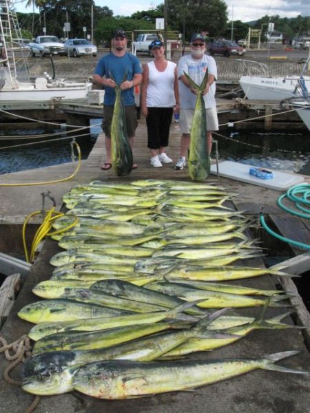 9-12-2011
Oh yeah! The Foxy Lady strikes again. It's been a while since anyone has seen a load of Mahi Mahi like this! Lets hope they are coming back! 
