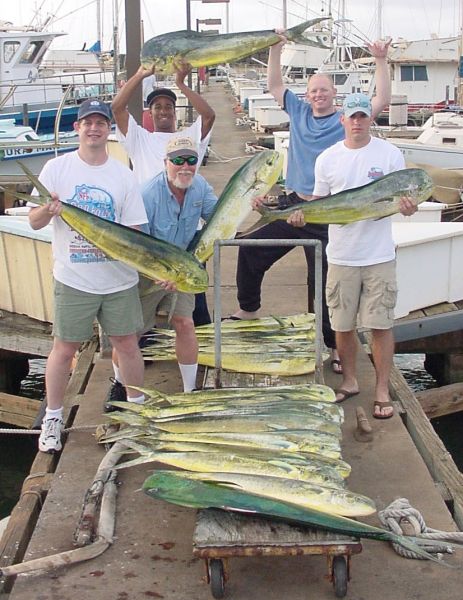  3-28-04
Good fun Mahi Mahi fishin'! 22 fish with to tatal weight of over 350 pounds. Nice job men.
