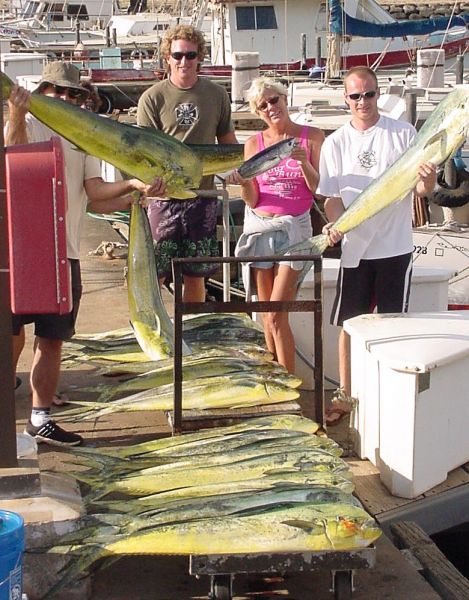 3-06-04
Today we took Lucky Pam and her "girl friends" team sleep and puke alot out for a fun day on the water. Cookies were tossed (not by Pam) beers were drunk (by Pam) and the fish just kept coming! 28 nice Mahi Mahi to be exact.
Thanks for another great day guys!
