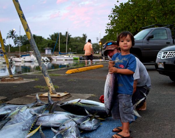 1-4-2013
Keywords: ahi,tuna,yellowfin,fish,charter,fishing,oahu,north shore,hawaii,sport,fishing,children,kids