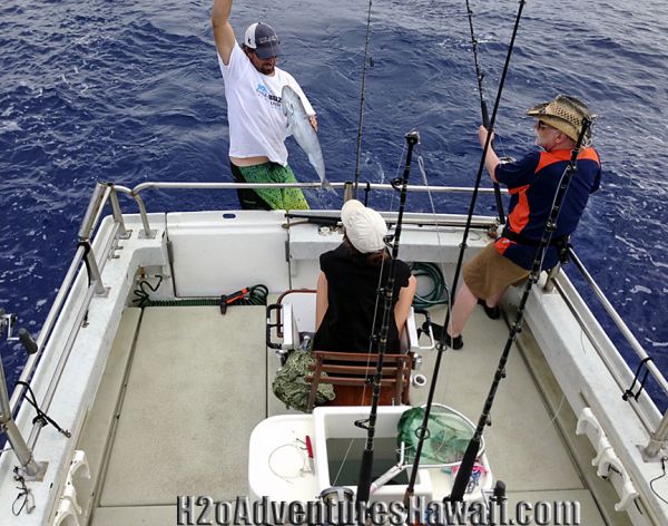 3-10-2013
Keywords: snapper,bottom,reef,hawaii,north shore,charter,boat,fishing,trip,fish,oahu,sportfishing