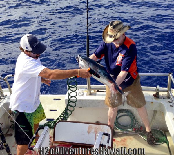 3-10-2013
Keywords: tuna,kawa kawa,hawaii,north shore,charter,boat,fishing,trip,fish,oahu,sportfishing