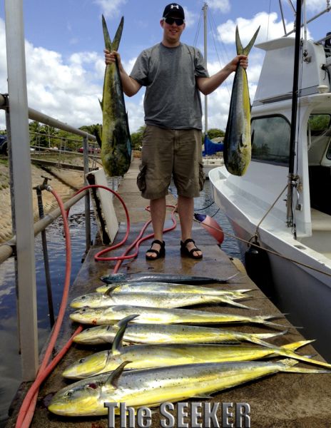 4-26-2013
Keywords: mahi mahi,hawaii,north shore,charter,boat,fishing,trip,fish,oahu,sportfishing