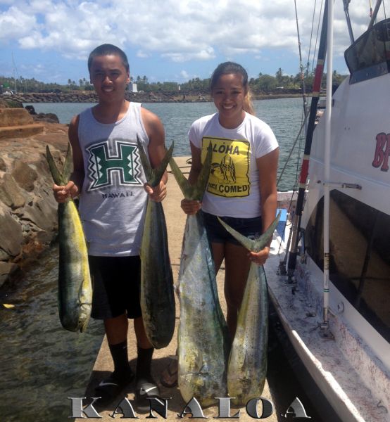8-27-2013
Mahi Mahi on the Kanaloa
Keywords: mahi mahi,dorado,dolfin,hawaii,north shore,charter,boat,fishing,trip,fish,oahu,sportfishing,deep sea,trolling