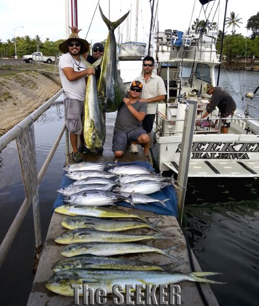 9-24-2013
Keywords: mahi mahi,dorado,dolfin,tuna,hawaii,north shore,charter,boat,fishing,trip,fish,oahu,sportfishing,deep sea,trolling