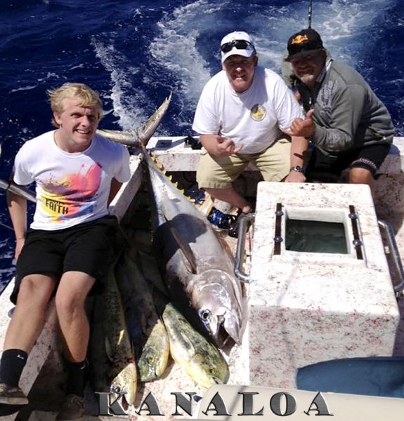 7-31-2013
Keywords: ahi,tuna,yellowfin,mahi mahi,dolphin,fish,charter,fishing,oahu,north shore,hawaii,sportfishing,blue,marlin