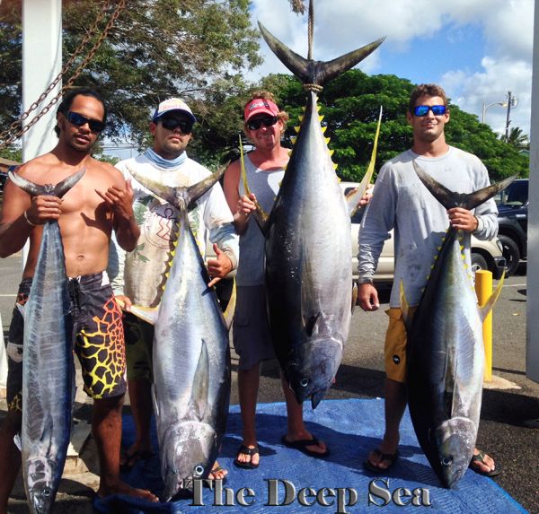 6-25-14
Keywords: Ahi Yellow Fin Tuna Sportfishing Charter chupu hawaii