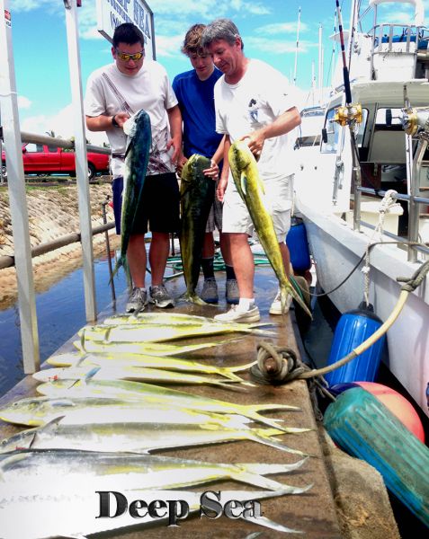 6-28-14
Keywords:  Mahi Mahi Sportfishing Charter chupu hawaii