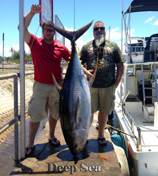 6-7-15
Keywords: Ahi Yellow Fin Tuna Sportfishing Charter chupu fishing hawaii