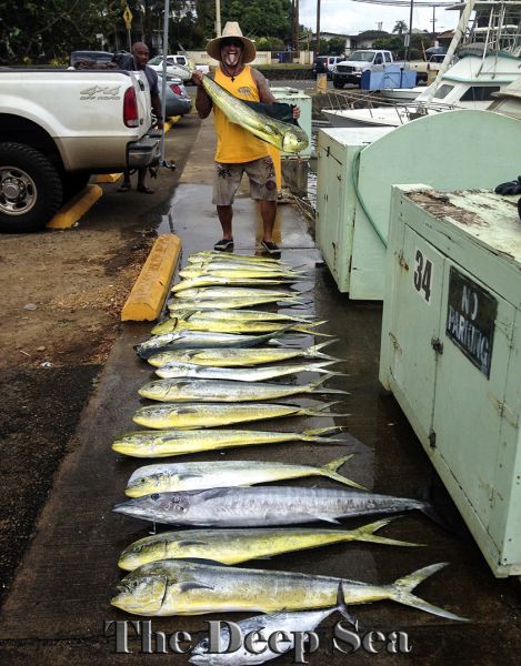8-20-15
Keywords: Mahi Mahi Ono Wahoo Tuna fishing charter chupu hawaii