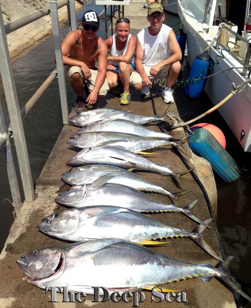 9-20-14
Keywords: Ahi Yellow Fin Tuna Ono Wahoo Mahi Mahi dorado Sportfishing Charter chupu fishing hawaii