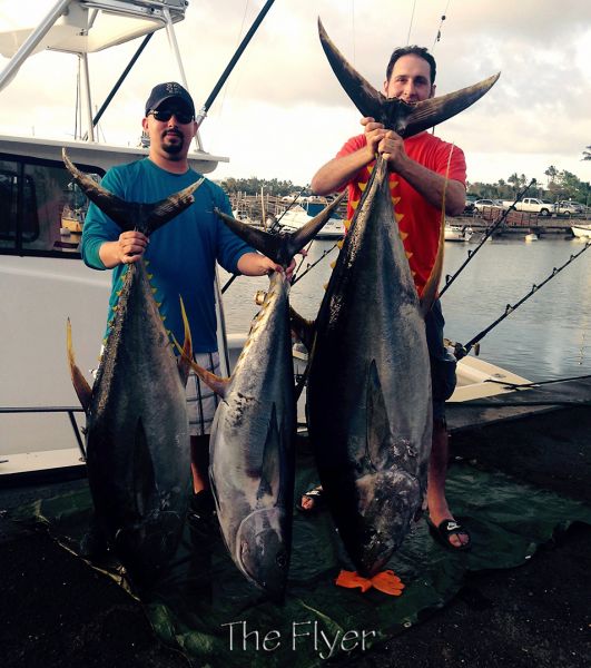 4-5-15
Keywords: Ahi Yellow Fin Tuna Sportfishing Charter chupu fishing hawaii