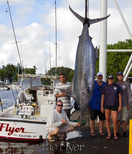 6-30-14
Keywords: blue marlin sportfishing fishing charter hawaii oahu north shore deep sea chupu