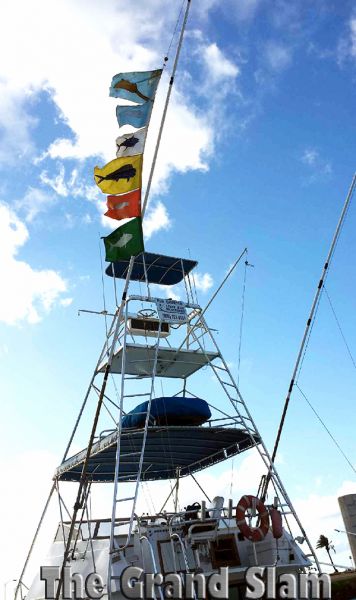 1-7-14
Keywords: chupu charters fishing north shore oahu hawaii mahi marlin ono wahoo boat boats sportfishing sport 