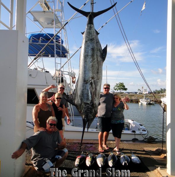 10-15-14
Keywords: blue marlin yellow fin tuna ahi mahi mahi dorado dolphin, sport fishing charter boat sportfishing chupu hawaii oahu 