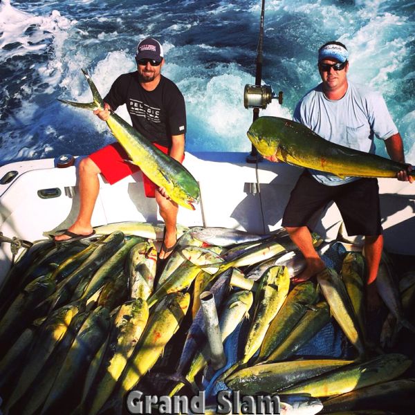 11-18-14
Keywords: Mahi Mahi Dorador Dolphin Tuna Sportfishing Charter fishing chupu Hawaii