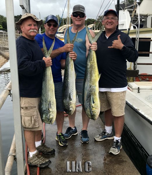 5-31-2018
Keywords: MAHI MAHI TUNA fishing charter chupu hawaii 