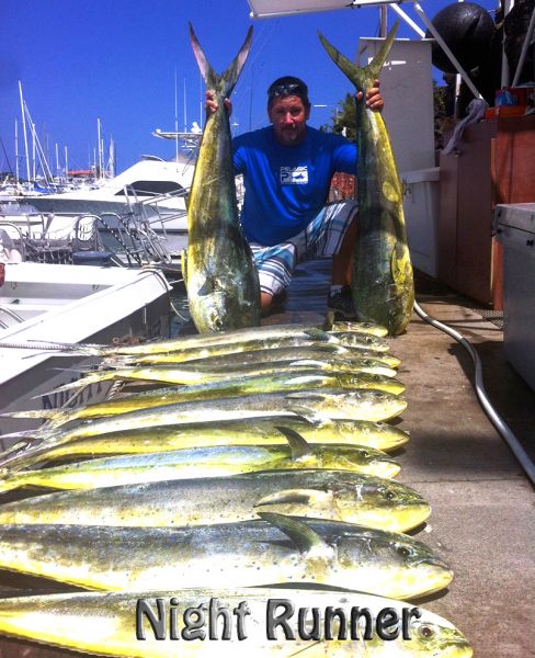 6-28-14
Keywords:  Mahi Mahi Sportfishing Charter chupu hawaii