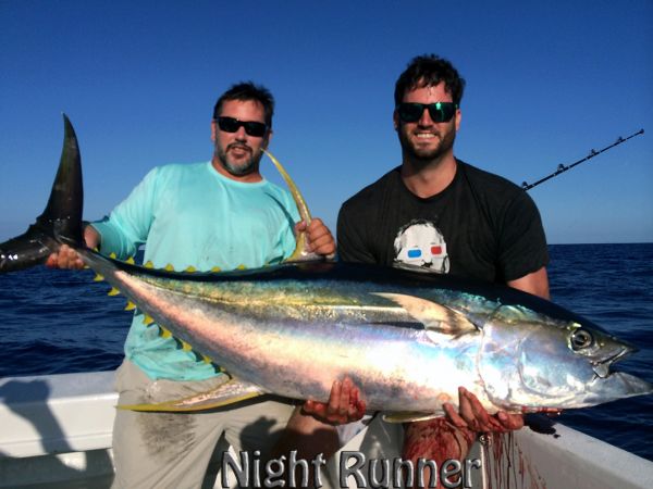 8-28-14
Keywords: Ahi Yellow Fin Tuna Sportfishing Charter chupu fishing hawaii