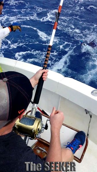 4-19-15
Keywords: Mahi Mahi Dorador Dolphin Ahi Tuna Spearfish Sportfishing Charter fishing chupu Hawaii