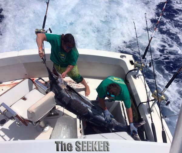 4-2-15
Keywords: Blue Marlin Fishing Charter Chupu H2o Adventures Hawaii 