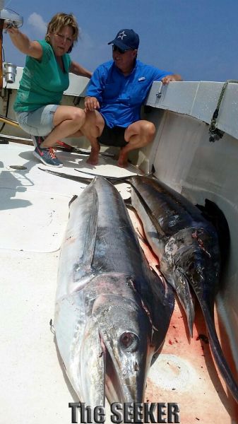 4-23-15
Keywords: Striped Marlin Fishing Charter Chupu H2o Adventures Hawaii 