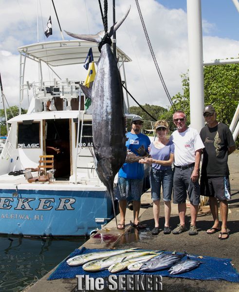 6-30-14
Keywords: blue marlin mahi mahi tuna sportfishing charter fishing hawaii oahu chupu deep see sport fish