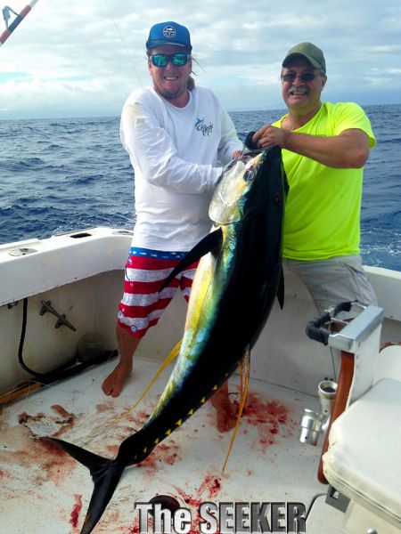 6-4-15
Keywords: Ahi Yellow Fin Tuna Ono wahoo Sportfishing Charter chupu fishing hawaii