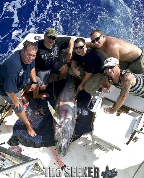 7-11-15
Keywords: Ahi Yellow Fin Tuna Blue Marlin Sportfishing Charter Chupu fishing hawaii