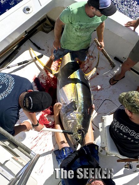 7-11-15
Keywords: Ahi Yellow Fin Tuna Blue Marlin Sportfishing Charter chupu fishing hawaii