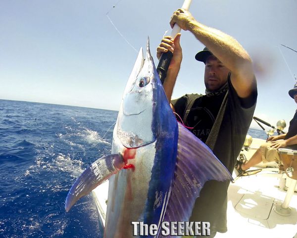 7-2-15
Keywords: Short Bill Marlin Fishing Charter Chupu Hawaii