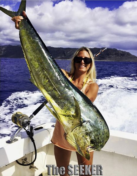 7-26-15
Keywords: mahi mahi tuna fishing charter chupu hawaii