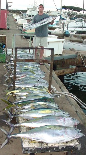  1-08-04
A whole lot of Yellowfin Tuna and only one angler- WOW!
